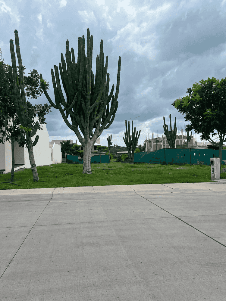 terreno en venta san juan la primavera culiacan sinaloa pH1ajBA